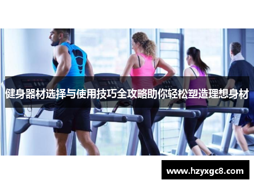 健身器材选择与使用技巧全攻略助你轻松塑造理想身材