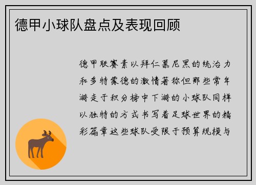 德甲小球队盘点及表现回顾